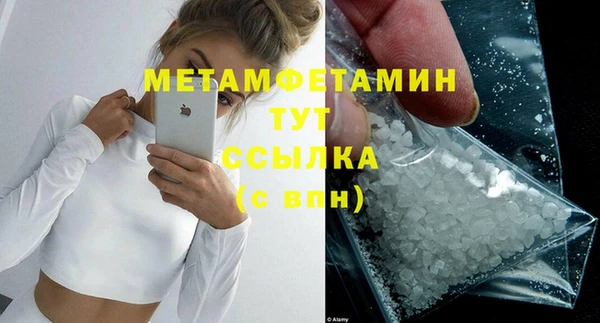 индика Сосновый Бор