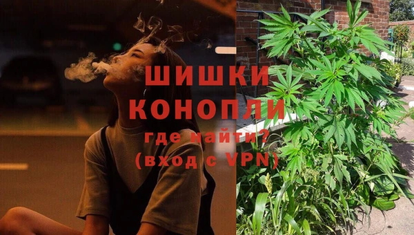 ешки Вяземский